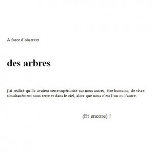 texte arbres - Pierre-Marie Ziegler